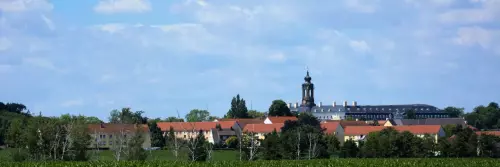 Wermsdorf von Nordosten gesehen. Die Hubertusburg überragt den Ort.