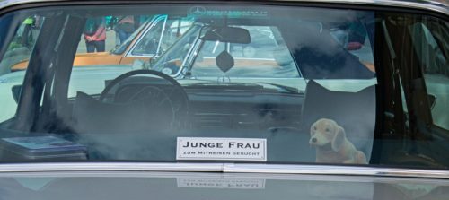 BSC_6346_junge_Frau