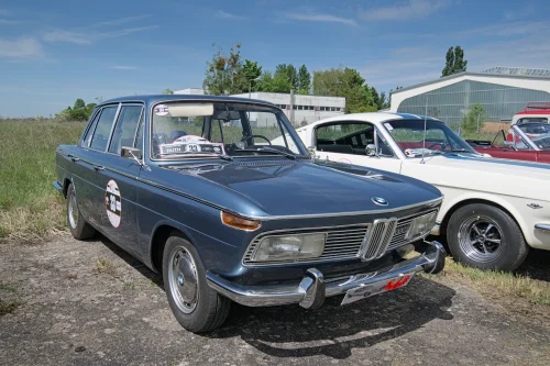 Brf_6498
