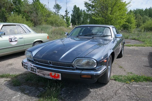 Brf_6517